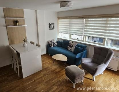 Apartamento Ema Budva, alojamiento privado en Budva, Montenegro - dnevna